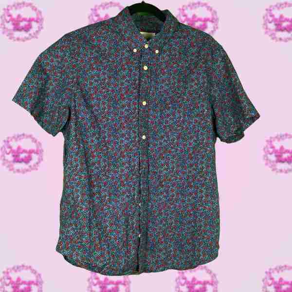 GAP Blue & Red Flower Shirt