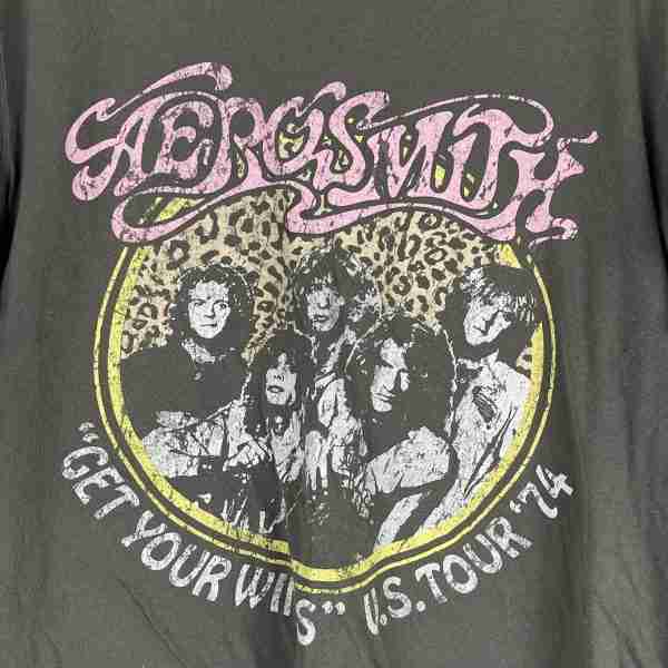 Aerosmith Grey T-Shirt - Image 3